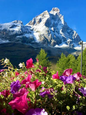 Appartamenti Coin Au Paradis Breuil-Cervinia
